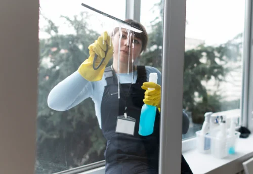 Nettoyage de vitres intérieures et extérieures à Tesson